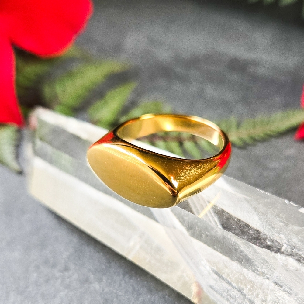 ๐ฆLAST๐ฆ NWT Tramps+Thieves Signet Gold Plated Ring